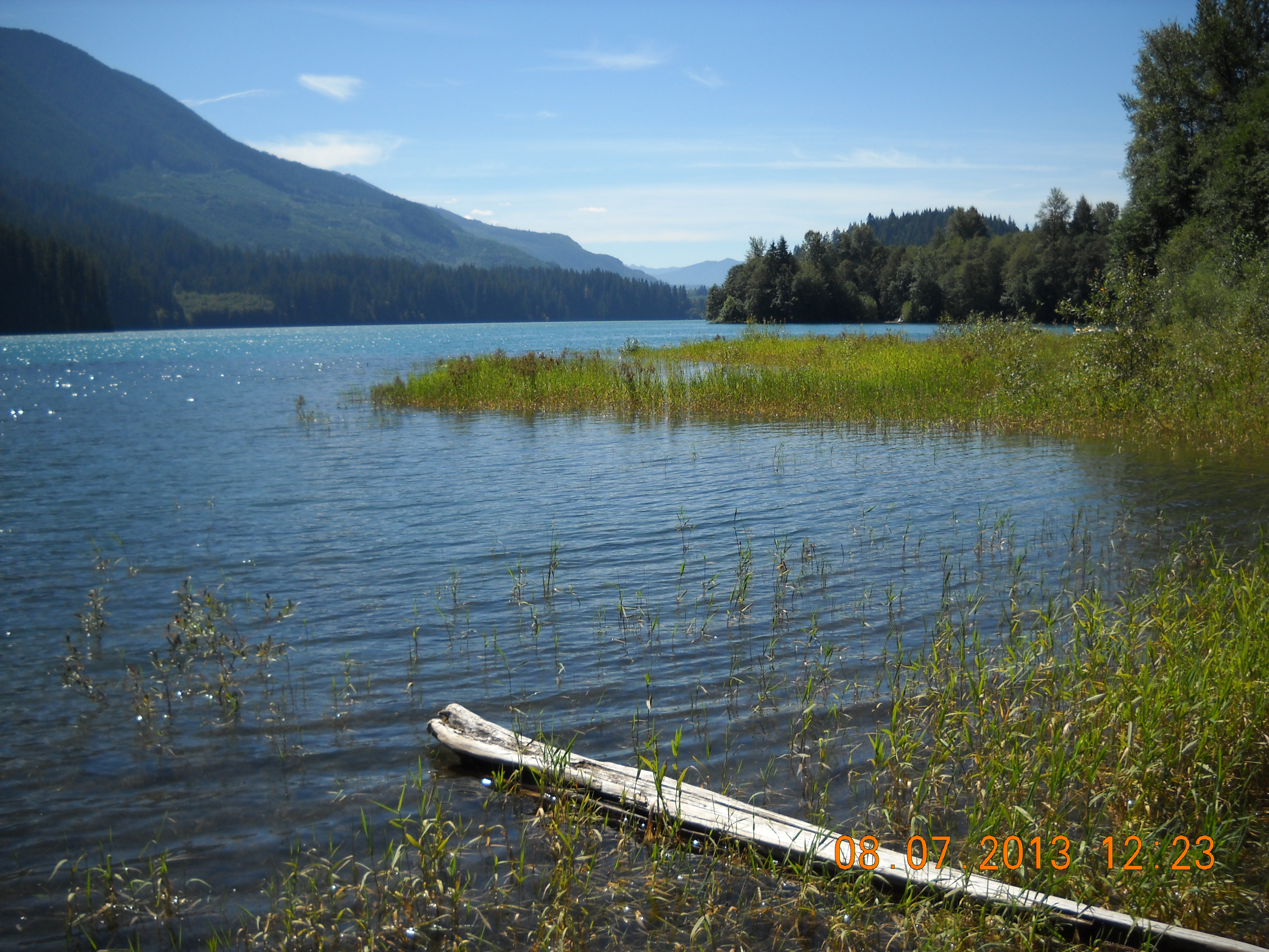 Baker Lake on a sunny day. Green water plants poke through the rippling water and a long piece of drift wood floats.