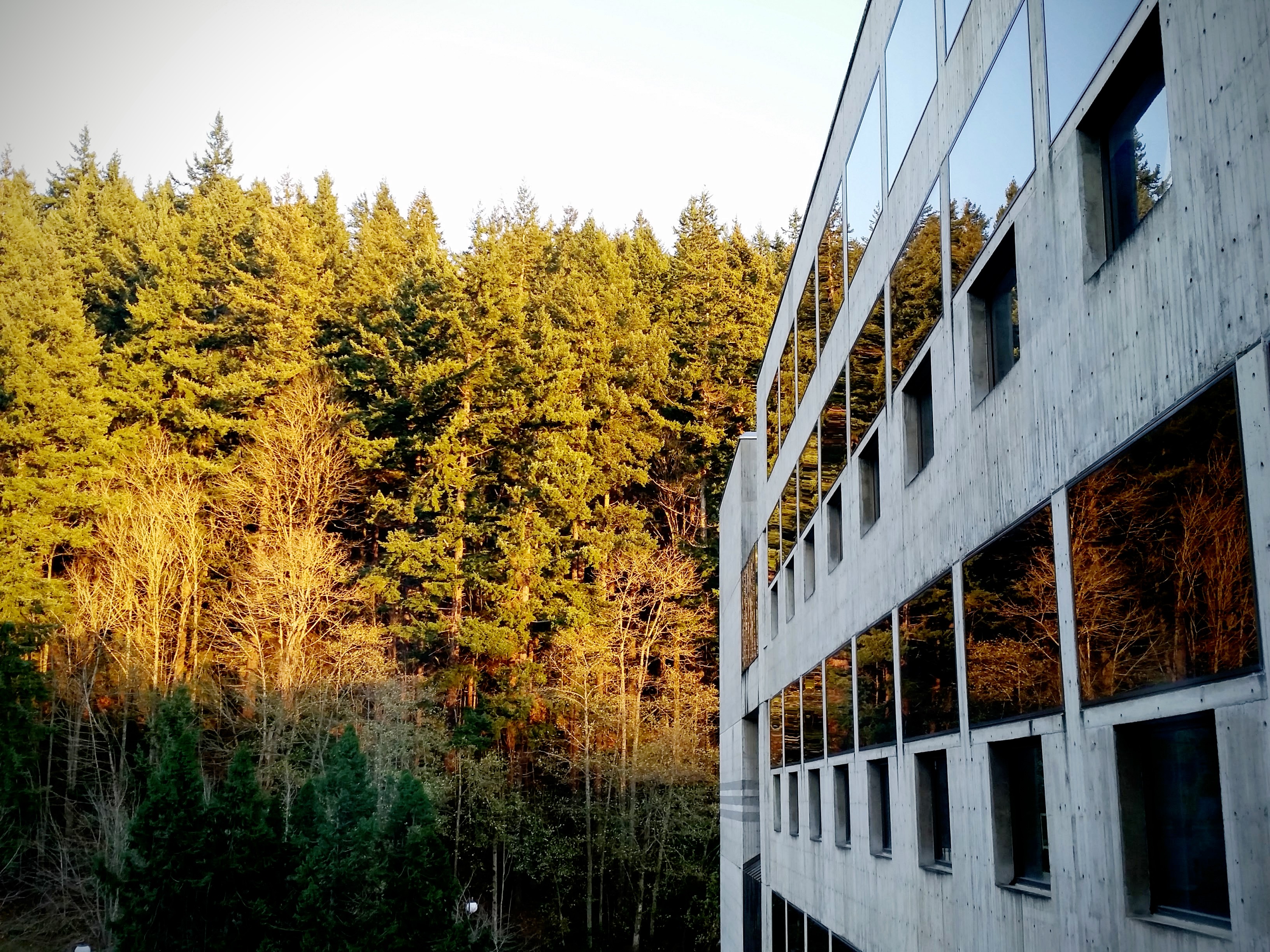 The environmental sciences building with the arboretum in the background