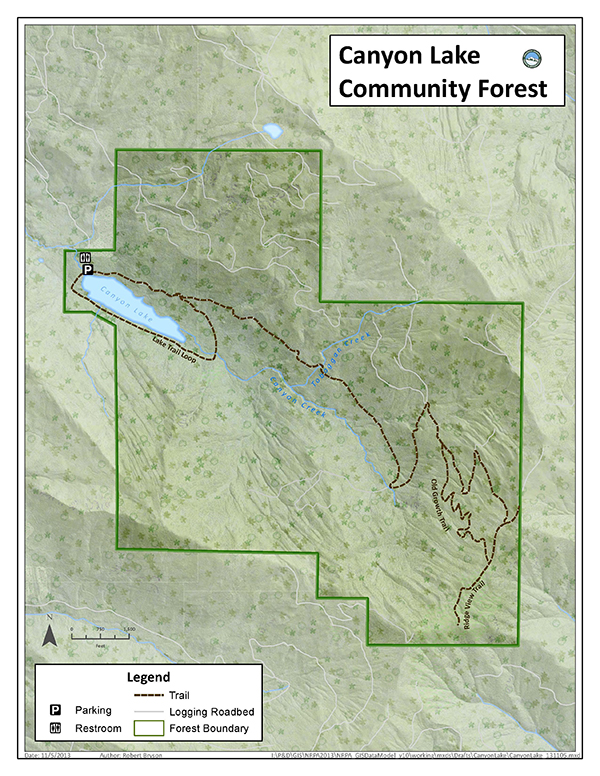 Satellite view of canyon lake community forest