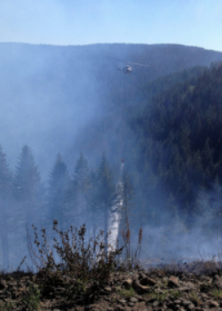 a helicopter sprays water down on burning trees