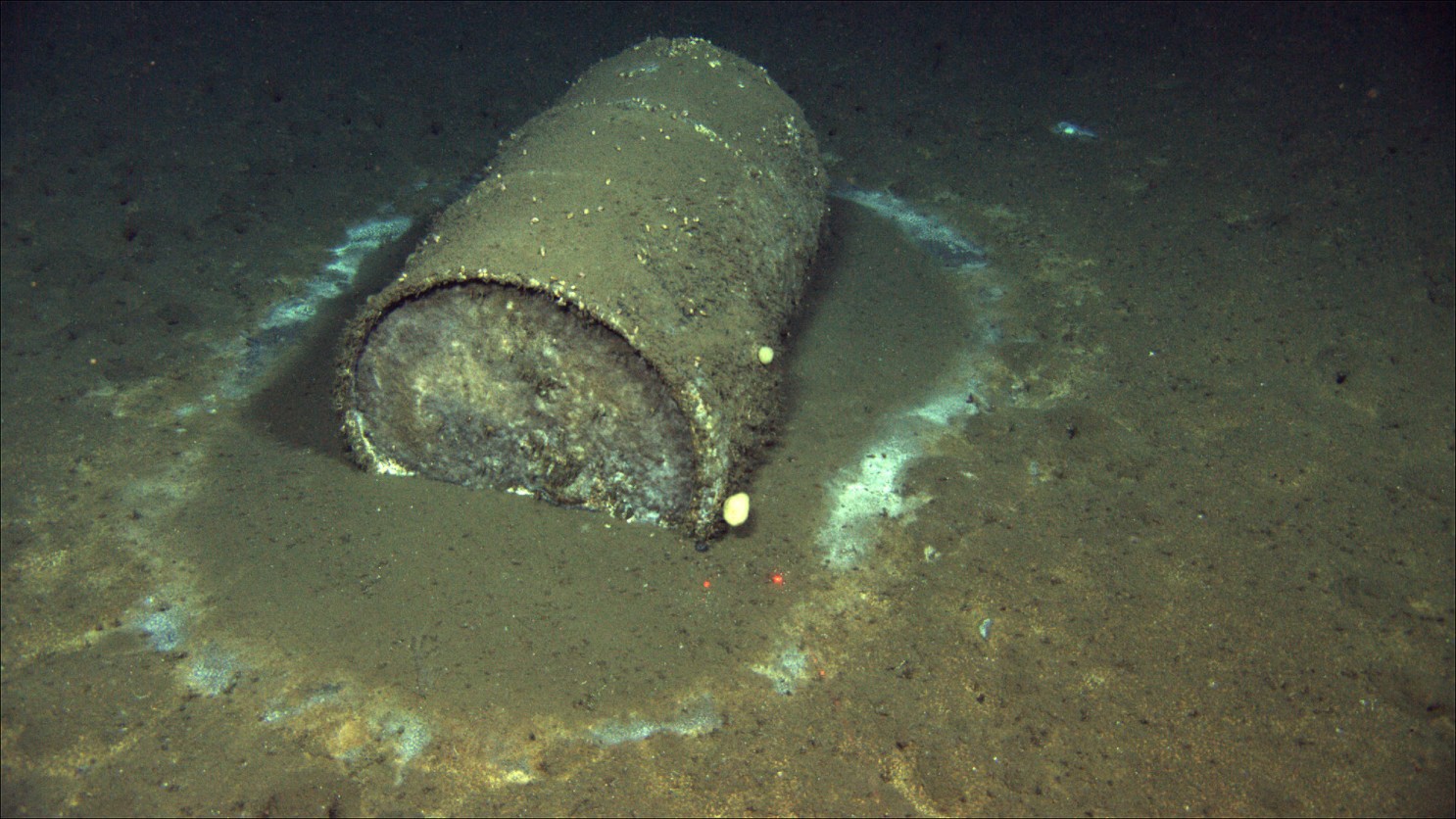 Submerged barrel of DDT off the coast of L.A.