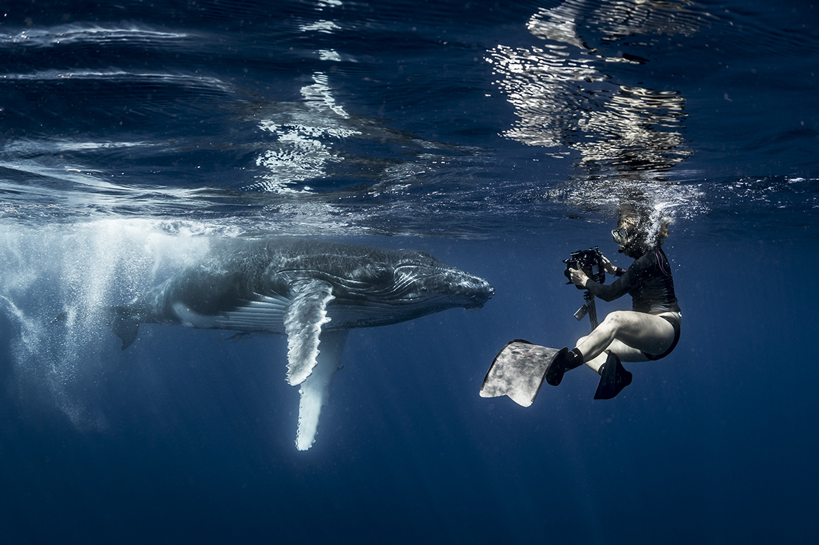 Annie Crawley diving with humpback whale