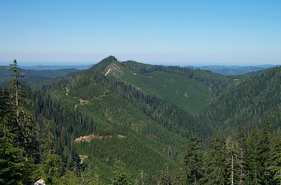Photo of a forested ridgeline 