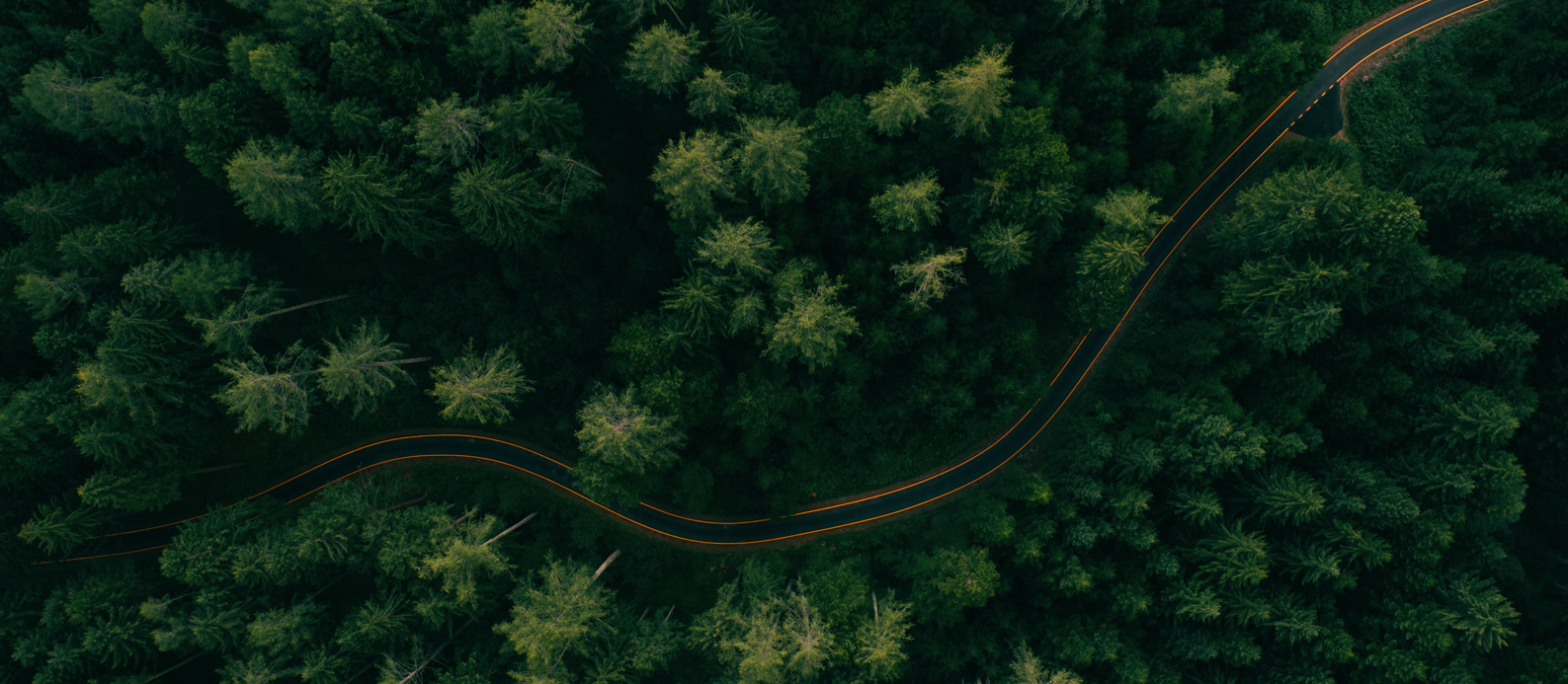 Aerial photo of headlights blurring along a winding road going through dense forest.