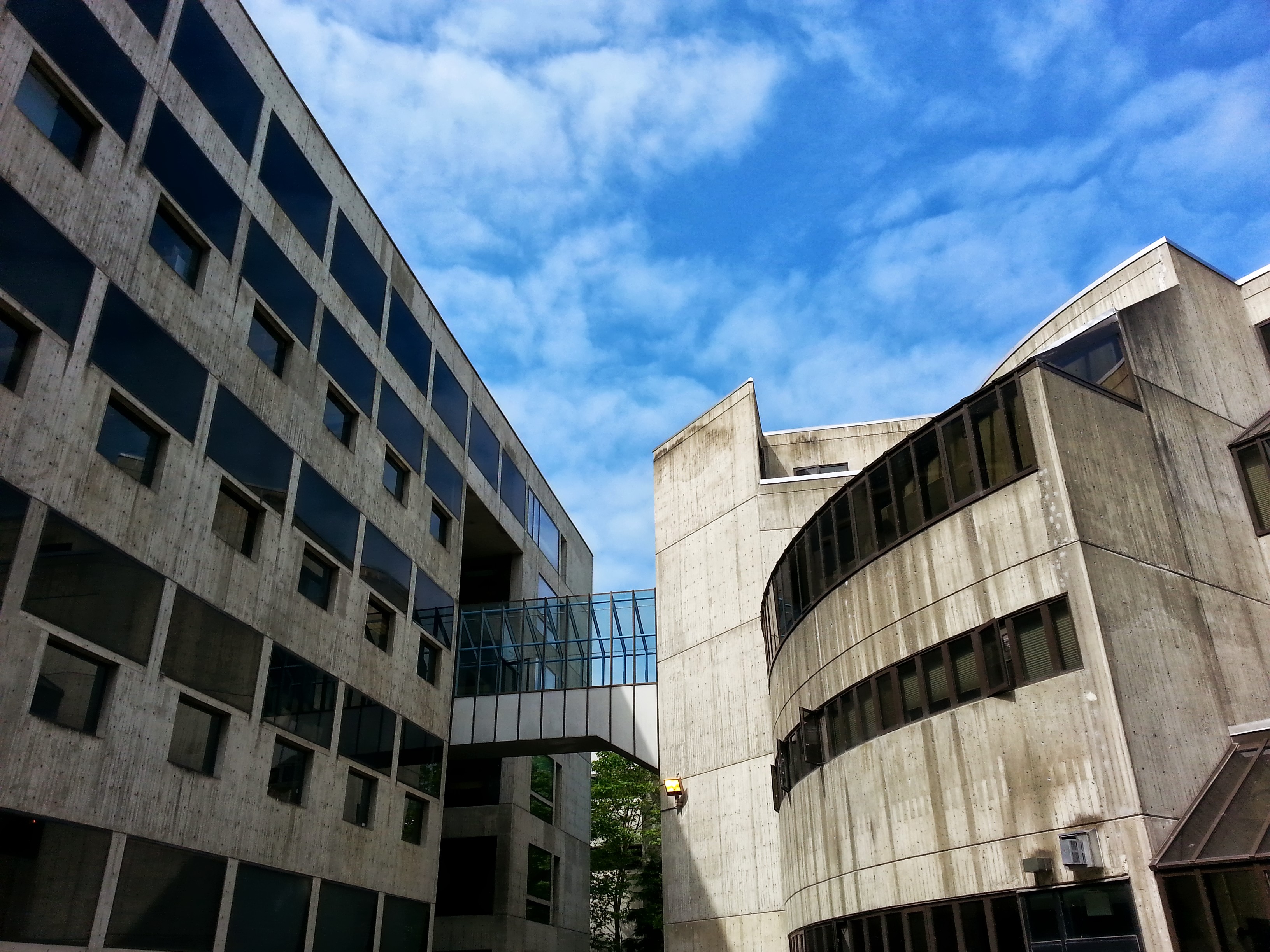 Looking up at the skybridge between the Environmental Studies building and Arntzen Hall. Blue sky and clouds above.