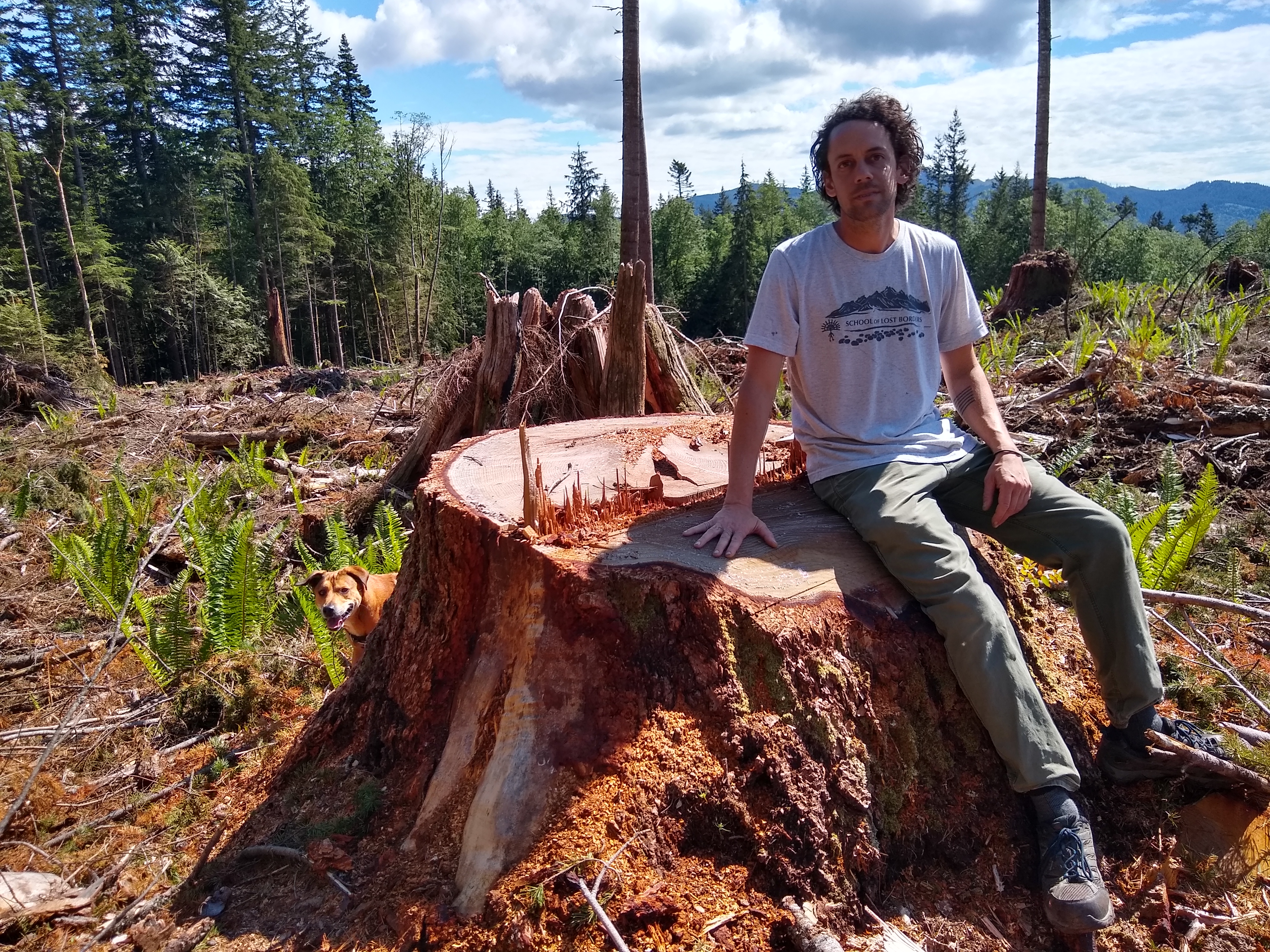 Brel leaning against a large stump to demonstrate the size of the cut down tree