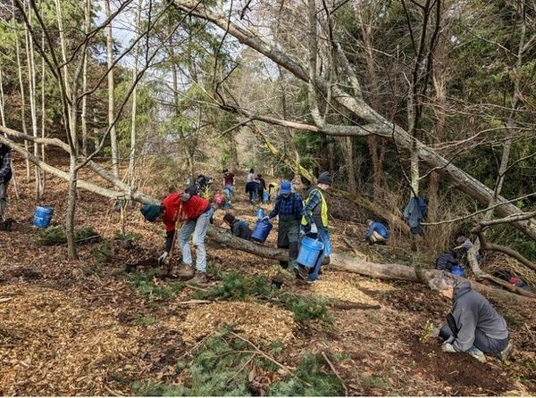 Group of volunteers with tools and buckets working on a slope in the forest.
