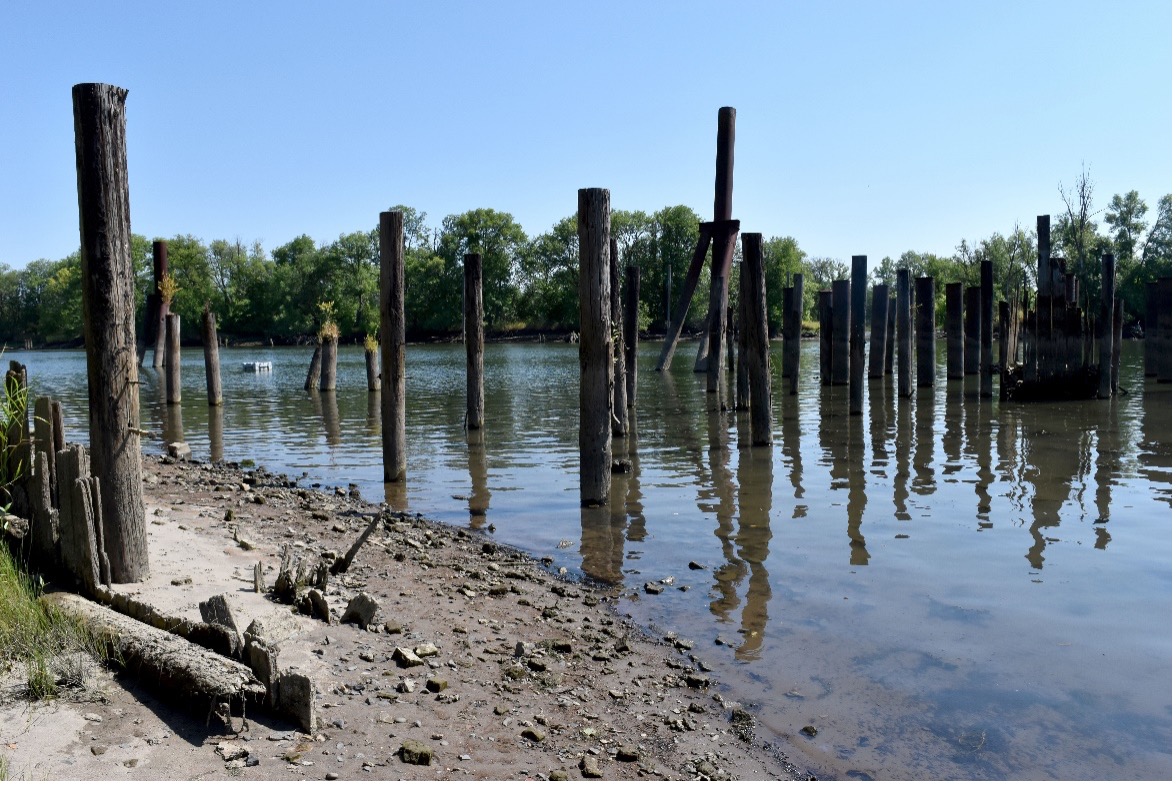 Partially submerged pilings 