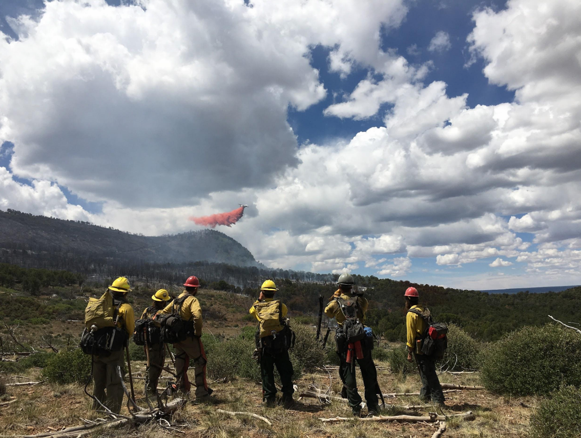 Wildland firefighters watch a plane drop fire retardant, Horse Park Fire, May 2018, Southwestern Colorado  Photo Credit: Oliver Simic