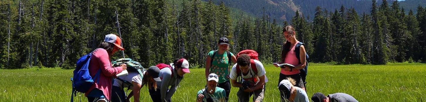 Students wearing backpacks are clustered together, working in a grassy field. They are bent over intently looking at and pointing at the ground at their feet. A snowcapped mountain range rises above them in the background.