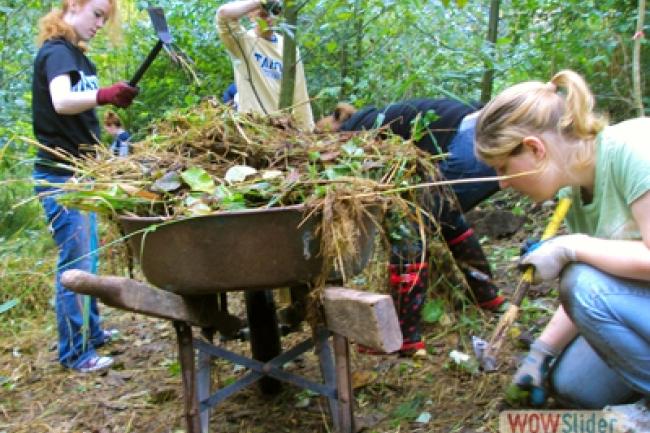 Three Western students working near a wheelbarrow full of weeds and plant debris.
