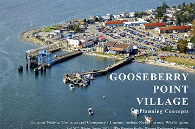 Aerial image of Gooseberry Point Village featured on the cover of the study