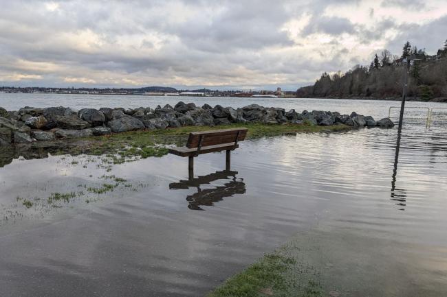 A flooded bench in Boulevard park