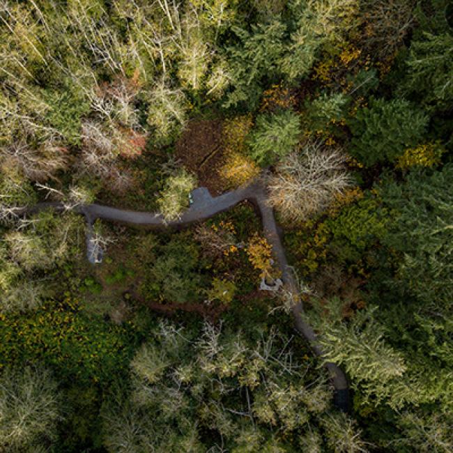 Aerial image of a clearing in the trees. Photo by WWU.