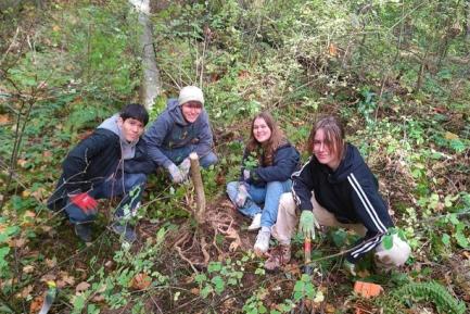 Four volunteers for LEAD crouch in the woods in the tall grass, working with tools in hand.