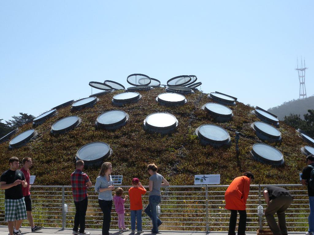 People stand in front of a dome-shaped green roof.