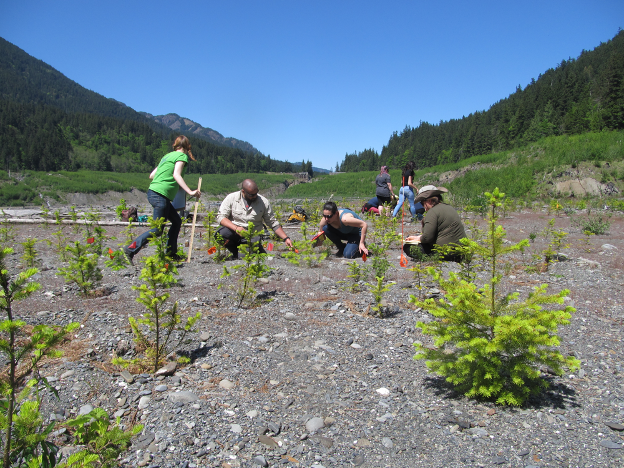 The Elwha River restoration project provides opportunity for students .