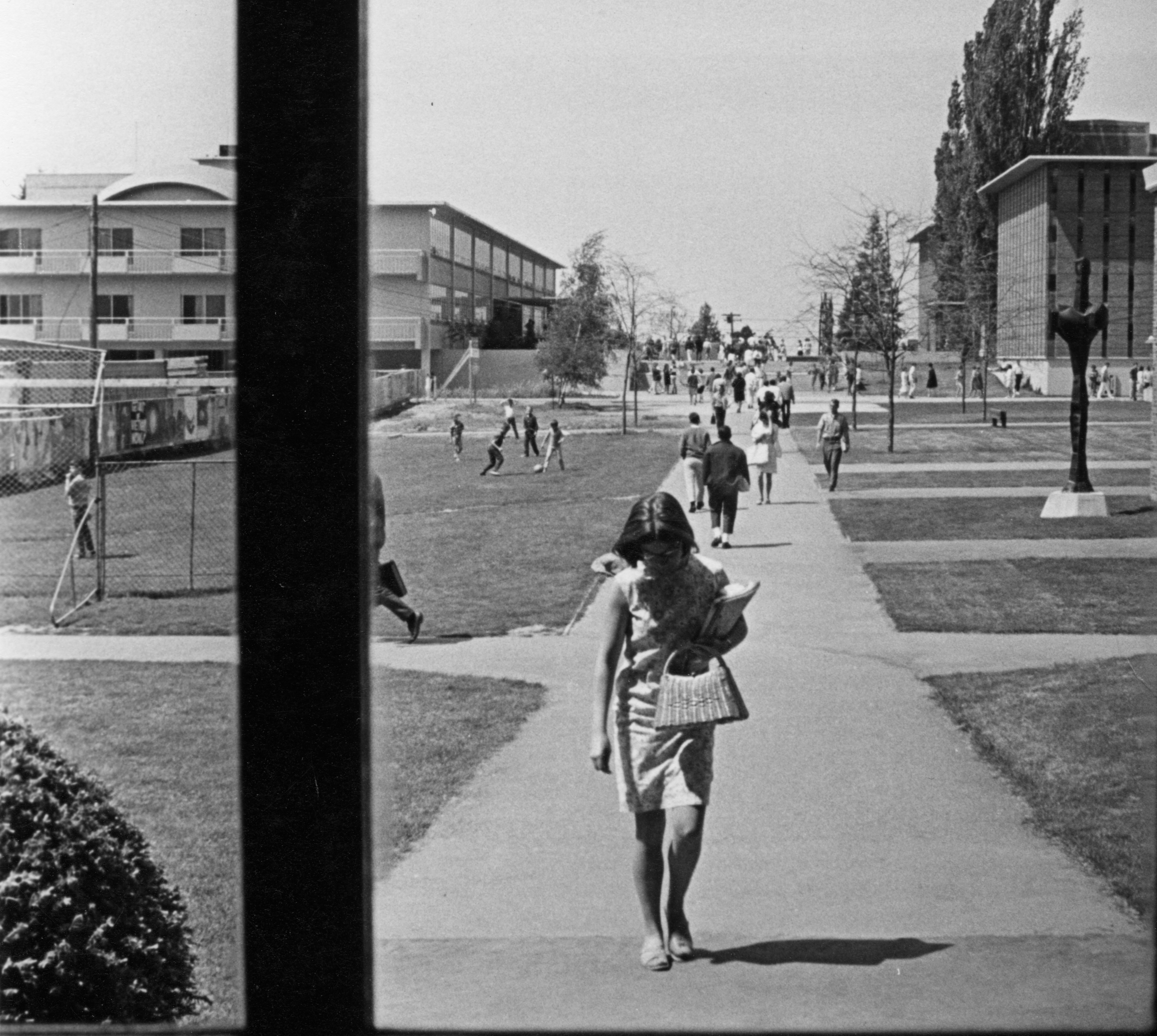 A student walks to Haggard Hall Library in 1967.