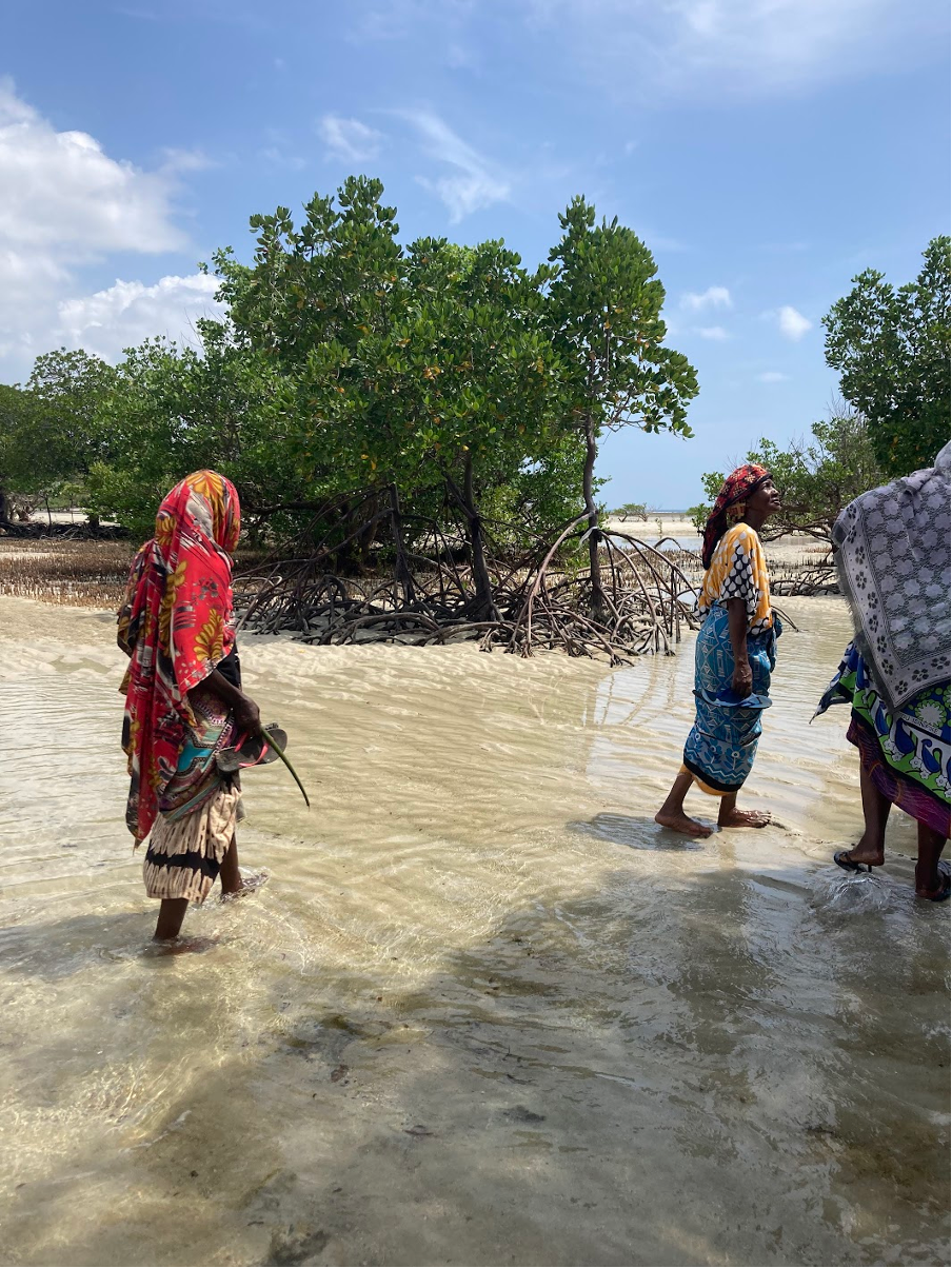 Members of the Tunusuru Conservation Women Group walk through a protected fish habitat in the mangrove swamps.