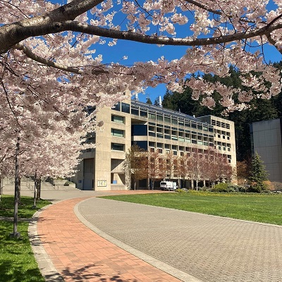 view of the Environmental Studies Center from beneath the boughs of the cherry trees alongside the South Lawn of the WWU campus. Photo credit: Ingrid Patrick