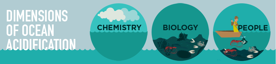 Dimensions of Ocean Acidification graphic