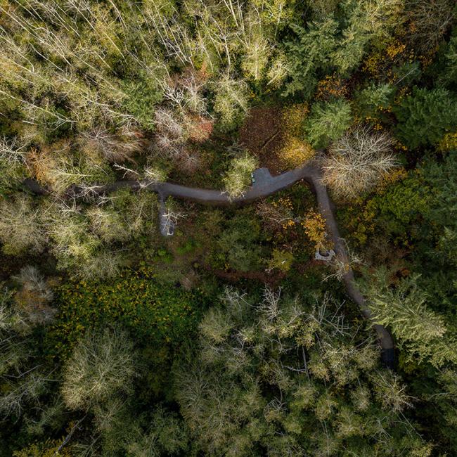 Aerial photo of a clearing in the trees. Photo by WWU.